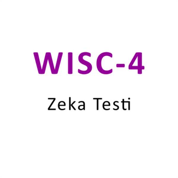 WISC-4 ZEKA TESTİ